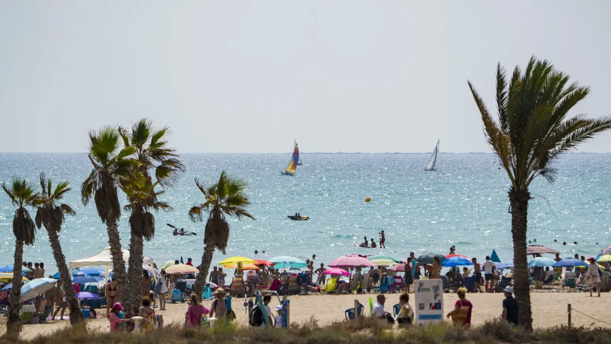 Canet recibe una ayuda para reforzar el bienestar animal