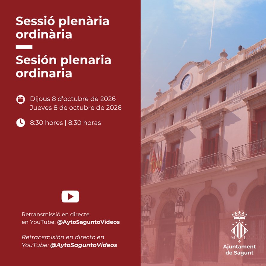 Pleno municipal